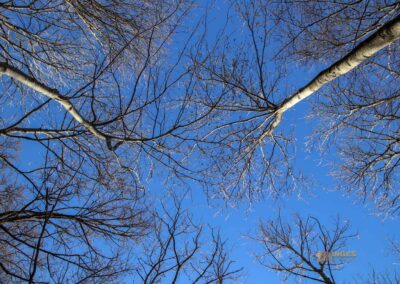 Die Ruine Lauterburg 9 Weg unterhalb der Ruine Lauterburg 0191