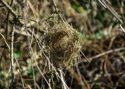 Die Ruine Lauterburg 10 Weg unterhalb der Ruine Lauterburg 0235