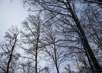 Winter auf Burgruine Helfenstein 0257