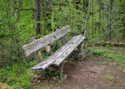 Auf und um Schloss Wachendorf in Starzach-Wachendorf 59 Burgkapelle Starzach-Wachendorf 4388