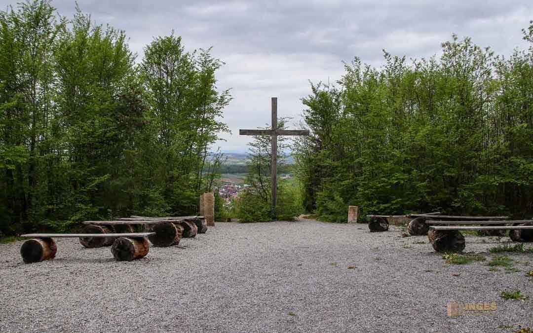 Im FriedWald Schönbuch
