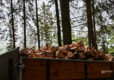 Auf und um Schloss Wachendorf in Starzach-Wachendorf 39 Im Wald um Starzach-Wachendorf 4402