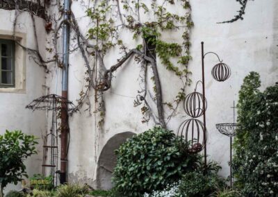 Schloss Hohenentringen 4515