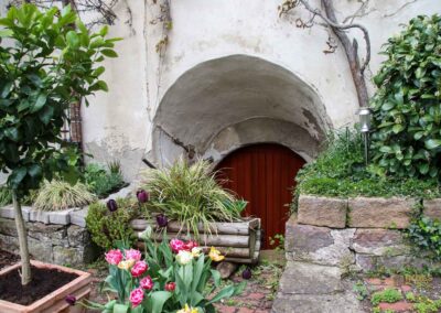 Schloss Hohenentringen 4558