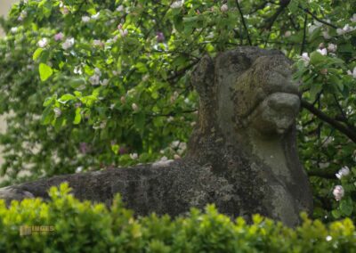 Auf und um Schloss Wachendorf in Starzach-Wachendorf 12 Schloss Wachendorf Starzach 3779