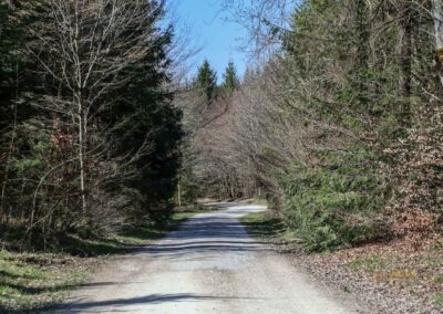 Ein Ausflug zu den Weiherwiesen bei Essingen 1 Wege in den Weiherwiesen bei Essingen 2276