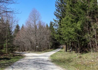 Ein Ausflug zu den Weiherwiesen bei Essingen 2 Wege in den Weiherwiesen bei Essingen 2280