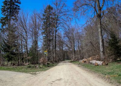 Ein Ausflug zu den Weiherwiesen bei Essingen 4 Wege in den Weiherwiesen bei Essingen 2337