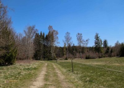 Ein Ausflug zu den Weiherwiesen bei Essingen 54 Bei den Weiherwiesen Essingen 2538