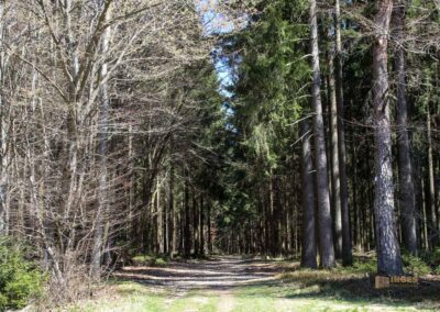 Ein Ausflug zu den Weiherwiesen bei Essingen 55 Bei den Weiherwiesen Essingen 2551