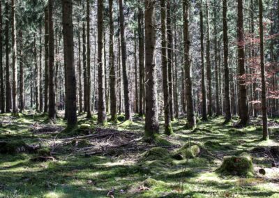 Ein Ausflug zu den Weiherwiesen bei Essingen 57 Bei den Weiherwiesen Essingen 2567