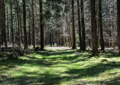 Ein Ausflug zu den Weiherwiesen bei Essingen 58 Bei den Weiherwiesen Essingen 2569