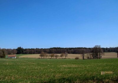 Ein Ausflug zu den Weiherwiesen bei Essingen 59 Bei den Weiherwiesen Essingen 2573