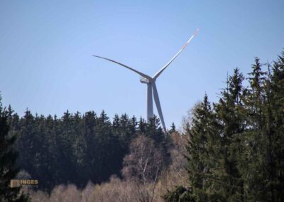 Ein Ausflug zu den Weiherwiesen bei Essingen 35 Oberer Weiherwiesen-See 2361