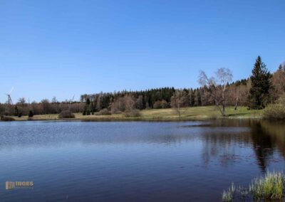 Ein Ausflug zu den Weiherwiesen bei Essingen 31 Oberer Weiherwiesen-See 2407