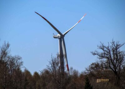 Ein Ausflug zu den Weiherwiesen bei Essingen 36 Oberer Weiherwiesen-See 2413