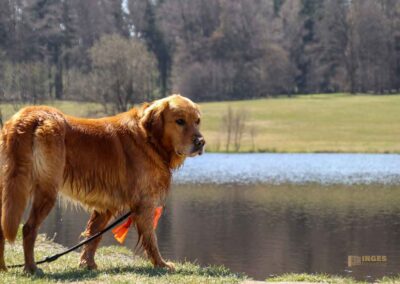 Ein Ausflug zu den Weiherwiesen bei Essingen 37 Pablo am Weiherwiesen-See 2424