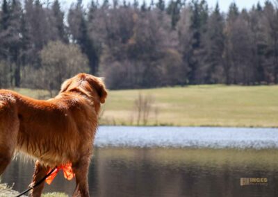 Ein Ausflug zu den Weiherwiesen bei Essingen 38 Pablo am Weiherwiesen-See 2425