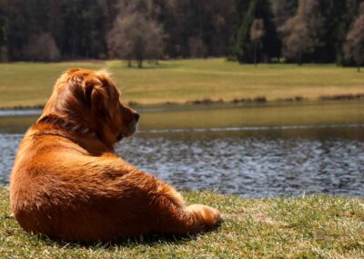 Ein Ausflug zu den Weiherwiesen bei Essingen 39 Pablo am Weiherwiesen-See 2435