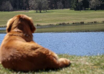 Ein Ausflug zu den Weiherwiesen bei Essingen 40 Pablo am Weiherwiesen-See 2437