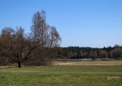 Ein Ausflug zu den Weiherwiesen bei Essingen 41 Unterer Weiherwiesen-See 2443