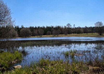 Ein Ausflug zu den Weiherwiesen bei Essingen 44 Unterer Weiherwiesen-See 2478
