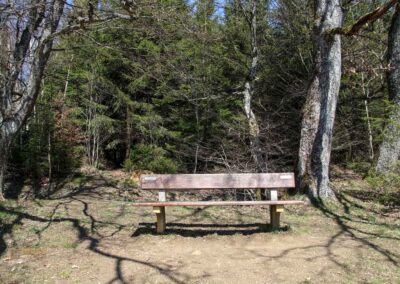 Ein Ausflug zu den Weiherwiesen bei Essingen 50 Unterer Weiherwiesen-See 2512