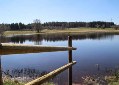 Ein Ausflug zu den Weiherwiesen bei Essingen 48 Unterer Weiherwiesen-See 2527