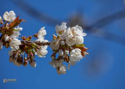 Ein Ausflug zu den Weiherwiesen bei Essingen 19 Wald bei Weiherwiesen Essingen 0243