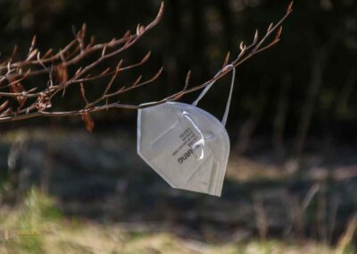Ein Ausflug zu den Weiherwiesen bei Essingen 20 Wald bei Weiherwiesen Essingen 2275