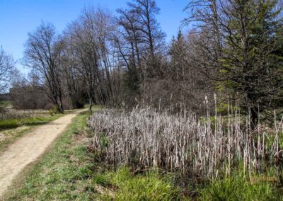 Ein Ausflug zu den Weiherwiesen bei Essingen 42 Weg zum Unteren Weiherwiesen-See 2506
