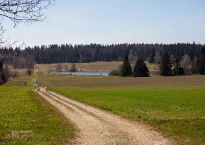 Ein Ausflug zu den Weiherwiesen bei Essingen 21 Weiherwiesen bei Essingen 0174