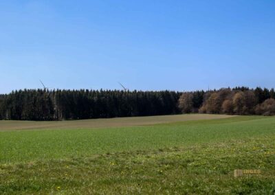 Ein Ausflug zu den Weiherwiesen bei Essingen 22 Weiherwiesen bei Essingen 2344