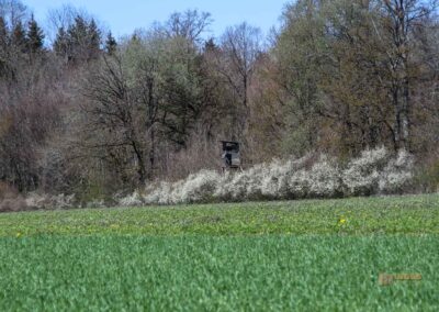 Ein Ausflug zu den Weiherwiesen bei Essingen 23 Weiherwiesen bei Essingen 2351