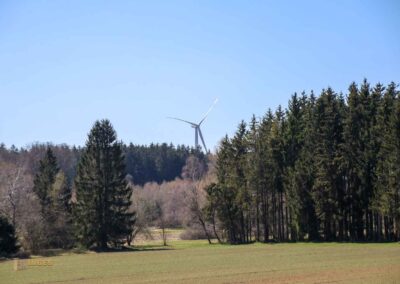 Ein Ausflug zu den Weiherwiesen bei Essingen 24 Weiherwiesen bei Essingen 2359