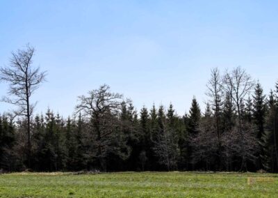 Ein Ausflug zu den Weiherwiesen bei Essingen 25 Weiherwiesen bei Essingen 2364