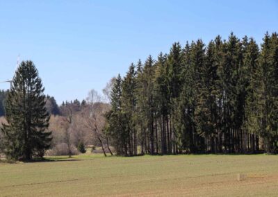 Ein Ausflug zu den Weiherwiesen bei Essingen 27 Weiherwiesen bei Essingen 2374