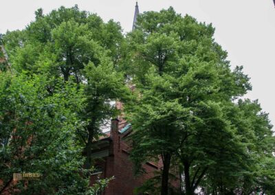 In der St. Pauli Kirche im Hamburger Kiez 1 St.Pauli Kirche Hamburg 5741