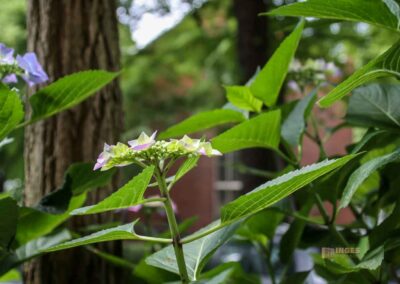 In der St. Pauli Kirche im Hamburger Kiez 34 St.Pauli Kirche Hamburg 5882