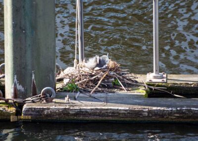 An der Kleinen Alster in Hamburg 0259