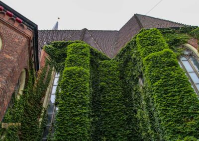 Hauptkirche St. Jacobi Hamburg 7030