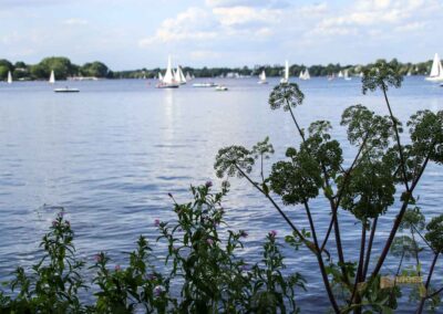 Außenalster Hamburg 0529