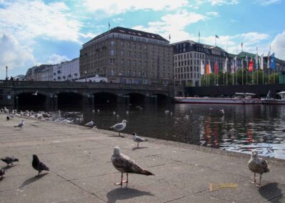 Blicke an der Binnenalster Hamburg 8115
