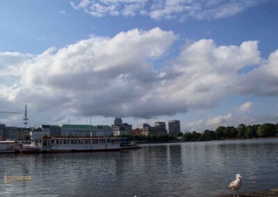 Blicke an der Binnenalster Hamburg 8211