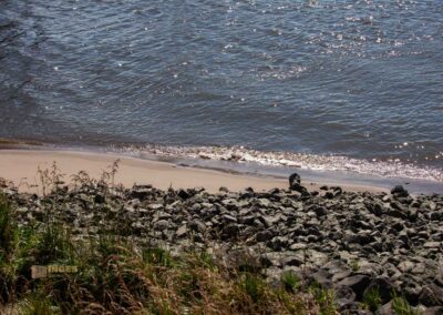 Elbstrand Neumühlen Hamburg 0160