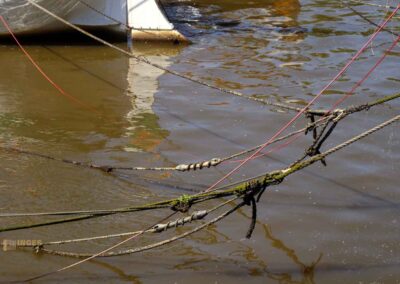 Museumshafen Oevelgönne Hamburg 9655