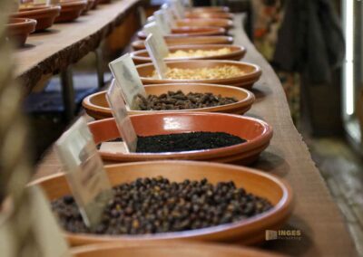 Spicys Gewürzmuseum Hamburg 0019