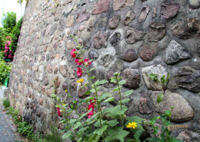 Treppenviertel Blankenese 0707