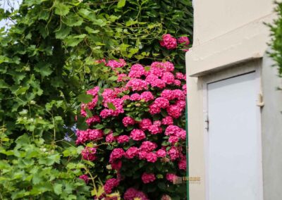 Treppenviertel Blankenese 0714