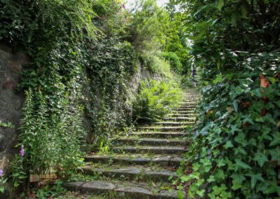 Treppenviertel Blankenese 0764